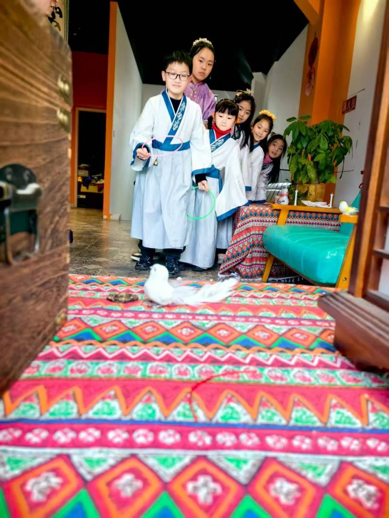 甘孜文旅项目策划